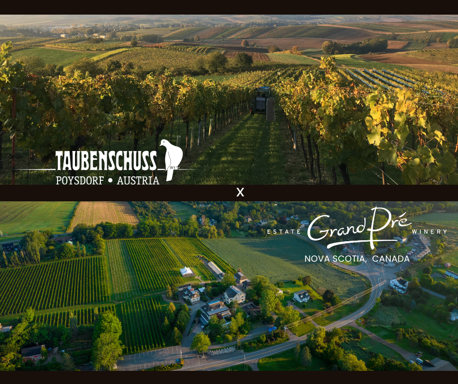 Exclusive Wine Tasting: Austria meets Nova Scotia