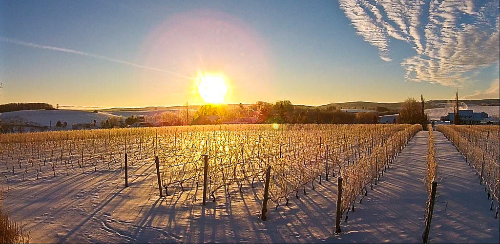 2026 Winter Dinner Series