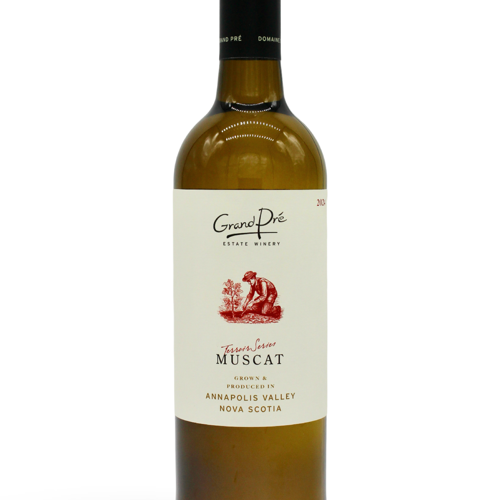 muscat様 Muscat – Grand Pré Wines