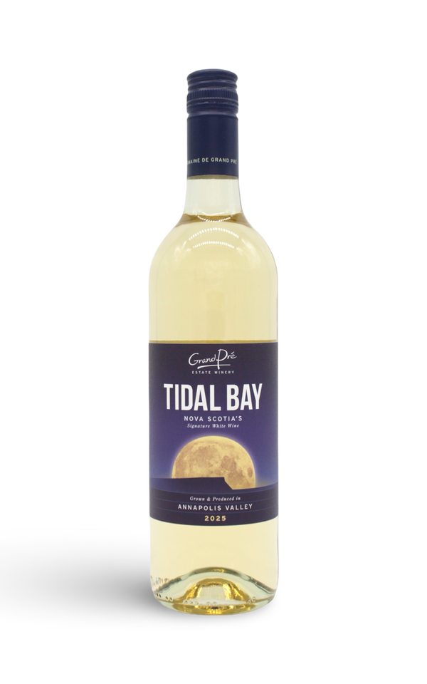 Tidal Bay